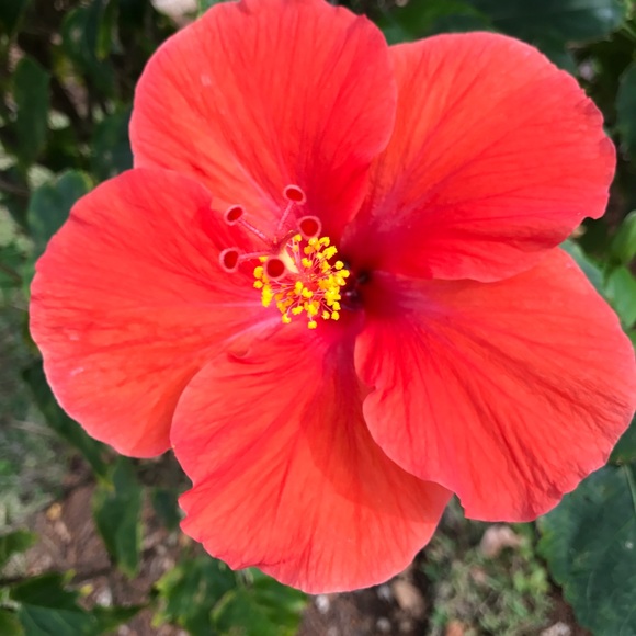 Meet your Posher, Kate - Picture 1 of 1